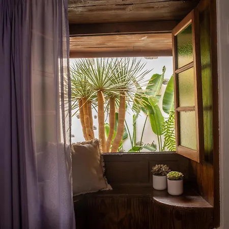 Tulia Guesthouse & Coworking Los Realejos Exterior foto